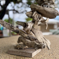 фото из отзыва ID 2729904