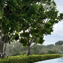 фото из отзыва ID 2729904