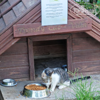 фото из отзыва ID 2728483