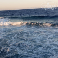 фото из отзыва ID 2729826