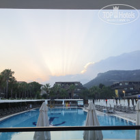 фото из отзыва ID 2729914