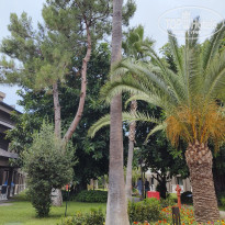 фото из отзыва ID 2729914