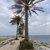 фото из отзыва ID 2729932