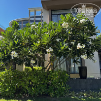 фото из отзыва ID 2729942