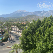 фото из отзыва ID 2729979