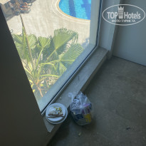 фото из отзыва ID 2729979