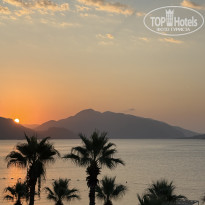 фото из отзыва ID 2729984