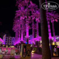 фото из отзыва ID 2729984