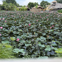 фото из отзыва ID 2729982