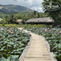 фото из отзыва ID 2729982