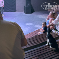 фото из отзыва ID 2729898