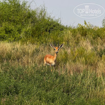 фото из отзыва ID 2722337