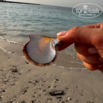 фото из отзыва ID 2722337