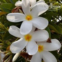 фото из отзыва ID 2722337