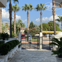 фото из отзыва ID 2729985