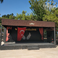 фото из отзыва ID 2727373