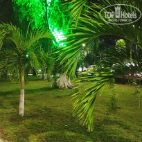 фото из отзыва ID 2729474