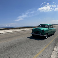 фото из отзыва ID 2728085