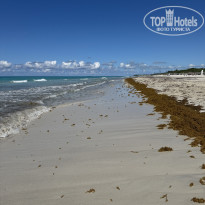 фото из отзыва ID 2728085