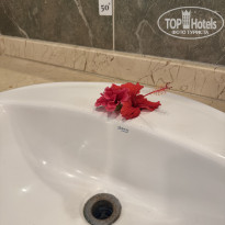 фото из отзыва ID 2728085