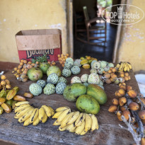 фото из отзыва ID 2728085