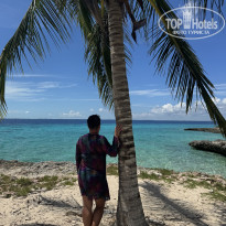 фото из отзыва ID 2728085