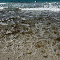 фото из отзыва ID 2728085