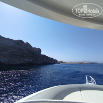 фото из отзыва ID 2725583