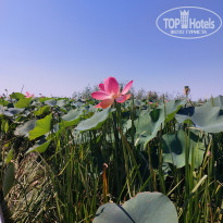 фото из отзыва ID 2725682