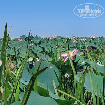 фото из отзыва ID 2725682