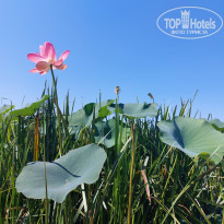 фото из отзыва ID 2725682