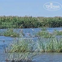 фото из отзыва ID 2725682