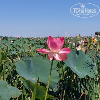 фото из отзыва ID 2725682