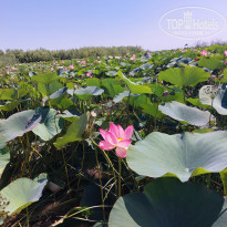 фото из отзыва ID 2725682