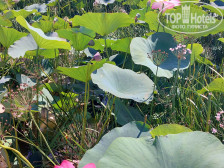 Fish-Club Рыболовно-Охотничья База