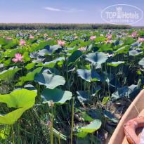 фото из отзыва ID 2725682