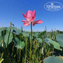 фото из отзыва ID 2725682