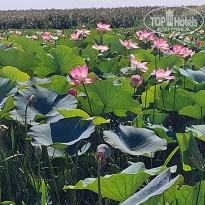 фото из отзыва ID 2725682