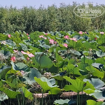 фото из отзыва ID 2725682