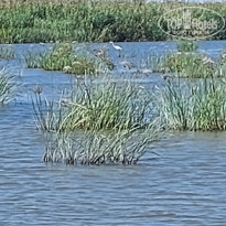 фото из отзыва ID 2725682