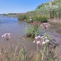 фото из отзыва ID 2725682