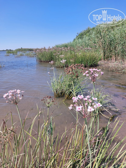New photos from tourists Fish-Club 