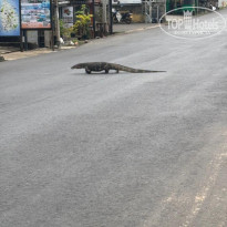 фото из отзыва ID 2728223