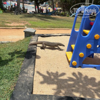 фото из отзыва ID 2728223