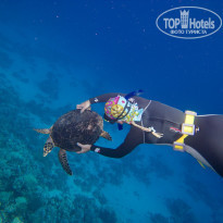 фото из отзыва ID 273086