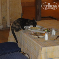 фото из отзыва ID 273436