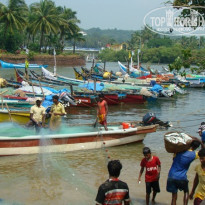 фото из отзыва ID 273517