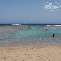 фото из отзыва ID 273759