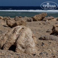 фото из отзыва ID 273759