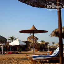 фото из отзыва ID 273854